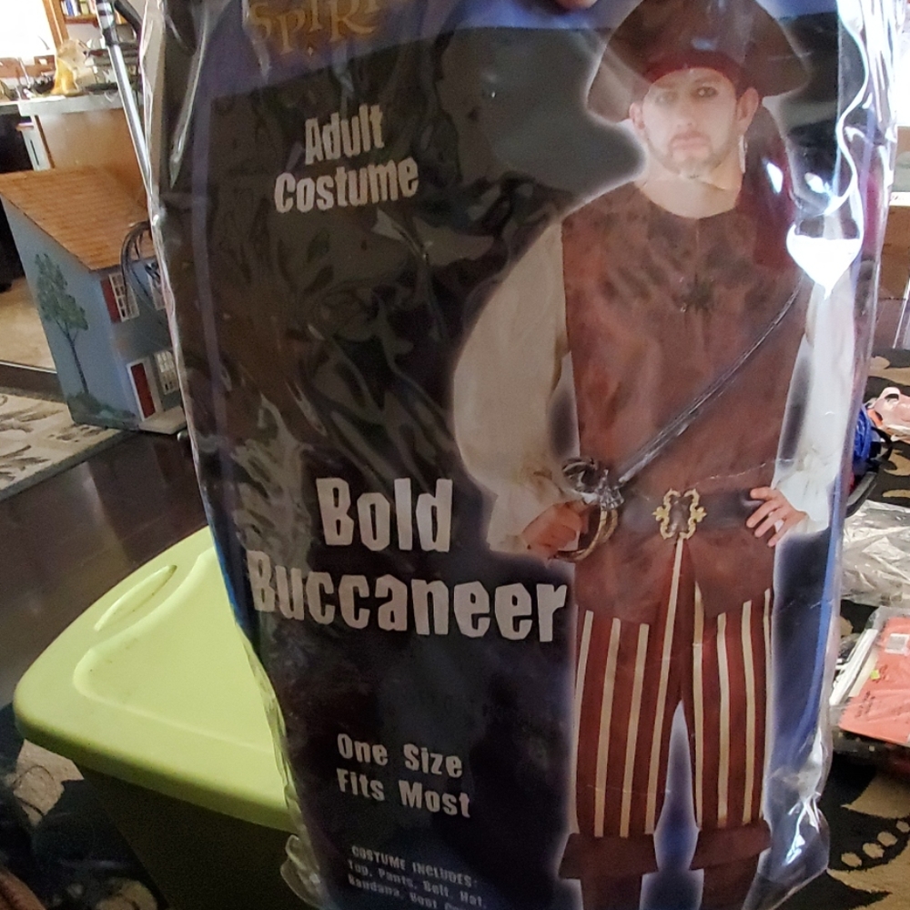Bold Buccaneer Costume